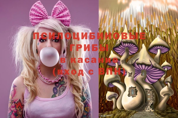 гидропоника Алексин