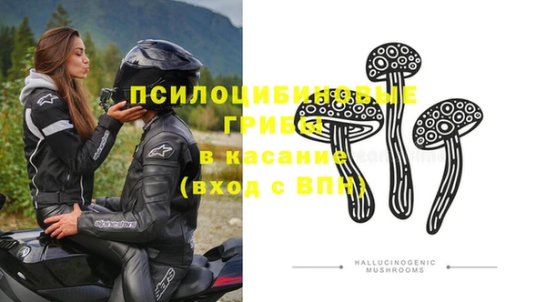 молекула духа Алексеевка