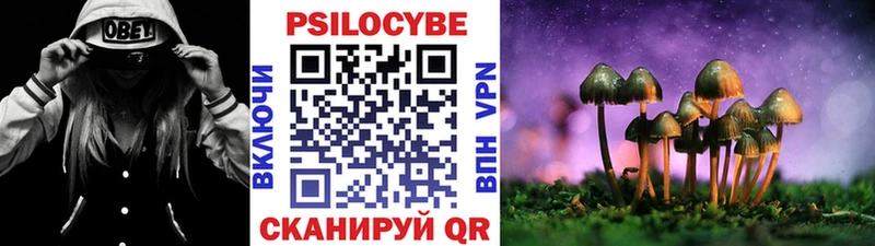 Псилоцибиновые грибы Cubensis  Лянтор 